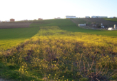 Parcel·la urbanitzable en venda a la Huerta de Carmona, Montilla, ref.: TR31342 foto