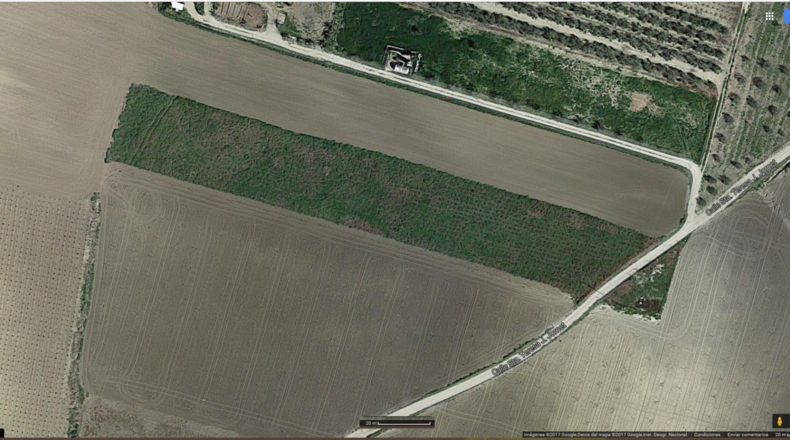 Córdoba - Montilla - 3500m2