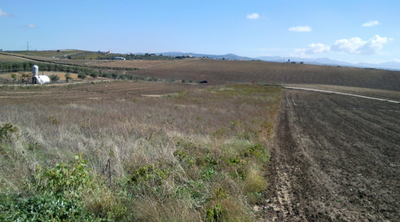 Córdoba - Montilla - 3500m2