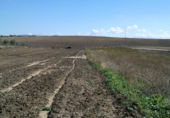 Parcel·la urbanitzable en venda a la Huerta de Carmona, Montilla, ref.: TR31342 foto