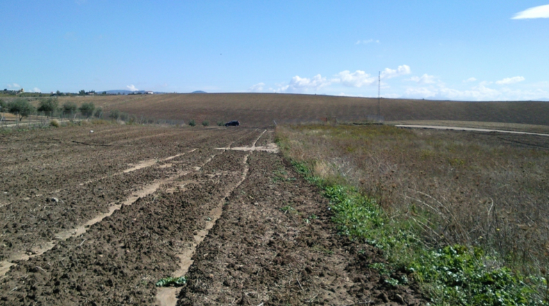 Córdoba - Montilla - 3500m2