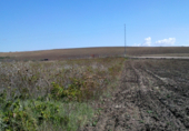 Parcel·la urbanitzable en venda a la Huerta de Carmona, Montilla, ref.: TR31342 foto