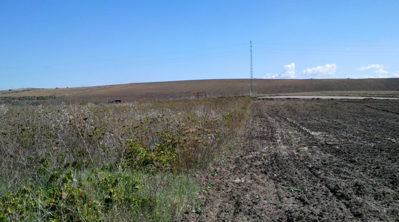 Córdoba - Montilla - 3500m2