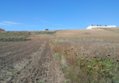 Parcel·la urbanitzable en venda a la Huerta de Carmona, Montilla, ref.: TR31342 foto