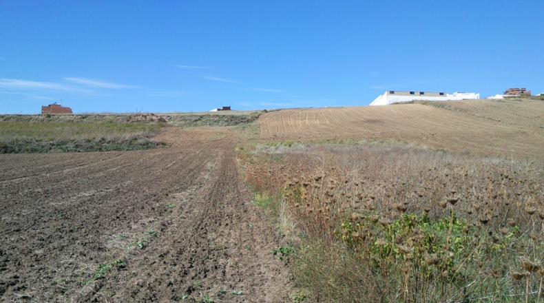Córdoba - Montilla - 3500m2