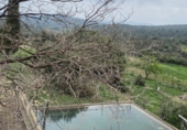 Non-developable land for rent on Coll de Tintoré, Sant Mateu, ref: TR26940 photo