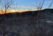 Non-developable land for rent on Coll de Tintoré, Sant Mateu, ref: TR26940 photo