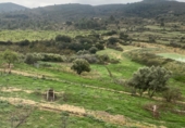 Non-developable land for rent on Coll de Tintoré, Sant Mateu, ref: TR26940 photo