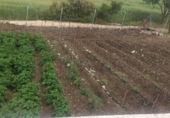 Finca rústica en venda a la Setenil de las Bodegas, ref.: TR27361 foto