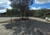 Finca rústica en venda a la CM-4171, Espinoso del Rey, ref.: TR27456 foto