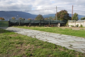 Foto 11