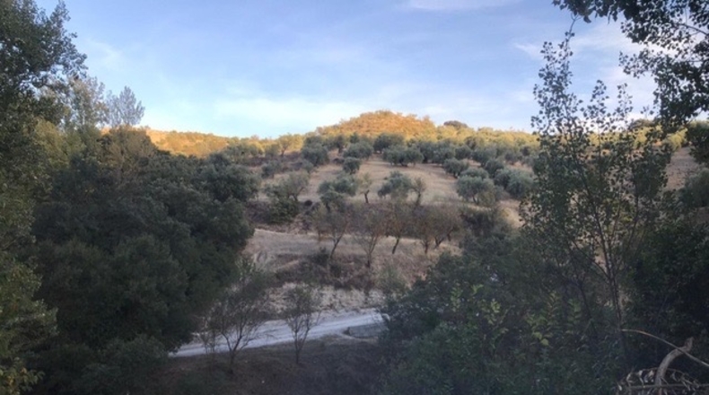 Granada - Huétor de Santillán - 10745m2