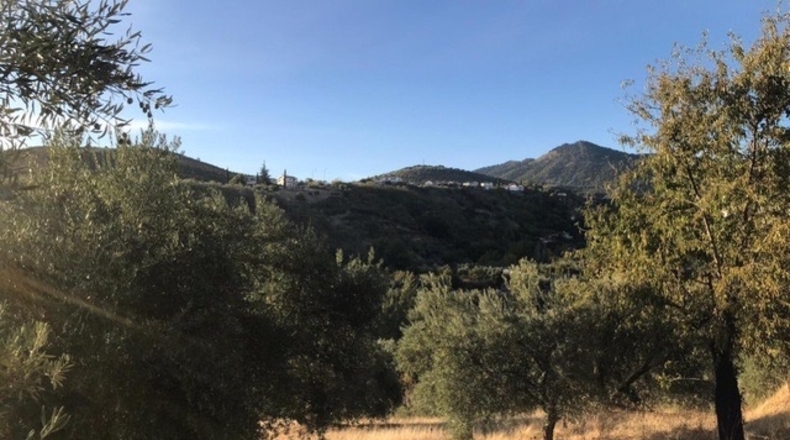 Granada - Huétor de Santillán - 10745m2