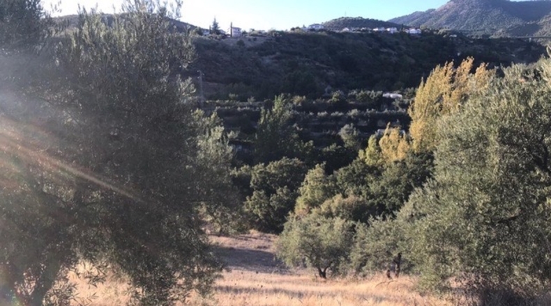 Granada - Huétor de Santillán - 10745m2