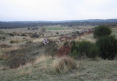 Land suitable for development for sale on Zarzalejo, Zarzalejo (estación), ref: TR29126 photo