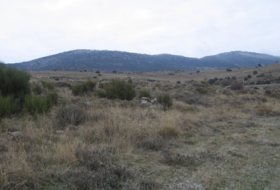 Zarzalejo (estación) 15300&nbsp;m²