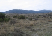 Land suitable for development for sale on Zarzalejo, Zarzalejo (estación), ref: TR29126 photo