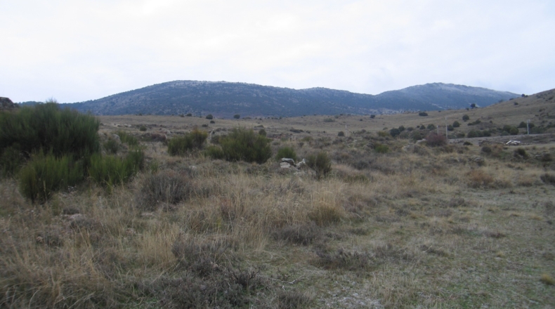 Comunidad de Madrid - Zarzalejo La Estación/Los Pajares - 15300m2