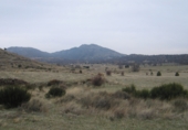 Land suitable for development for sale on Zarzalejo, Zarzalejo (estación), ref: TR29126 photo