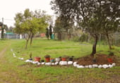 Prefabricated house with land for sale on Calle Camino Herrero, Castilblanco de los Arroyos, ref: TR29428 photo