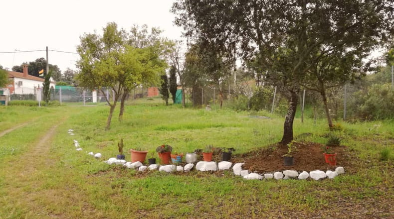 Sevilla - Castilblanco de los Arroyos - 1000m2