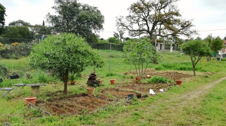 Sevilla - Castilblanco de los Arroyos - 1000m2