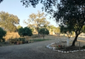Prefabricated house with land for sale on Calle Camino Herrero, Castilblanco de los Arroyos, ref: TR29428 photo