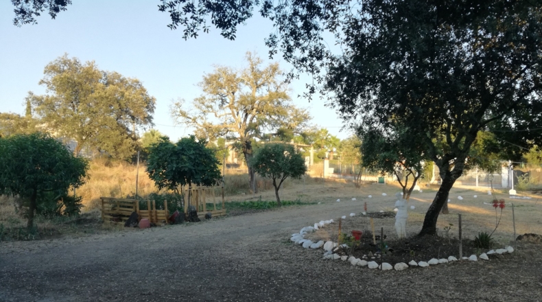Sevilla - Castilblanco de los Arroyos - 1000m2