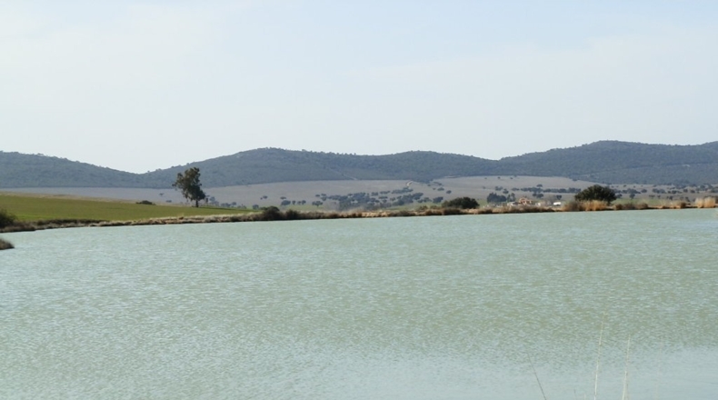Ciudad Real - Luciana - 5250000m2