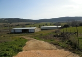 Finca rústica en venta en la luciana, Luciana, ref: TR29477 foto