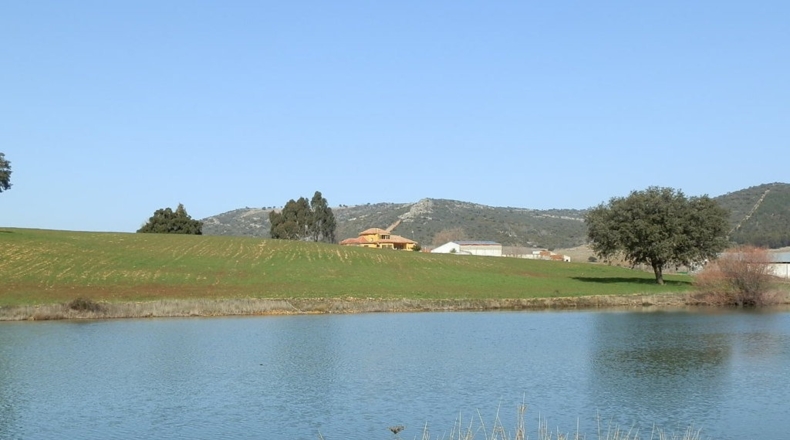 Ciudad Real - Luciana - 5250000m2