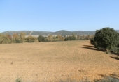 Finca rústica en venta en la luciana, Luciana, ref: TR29477 foto