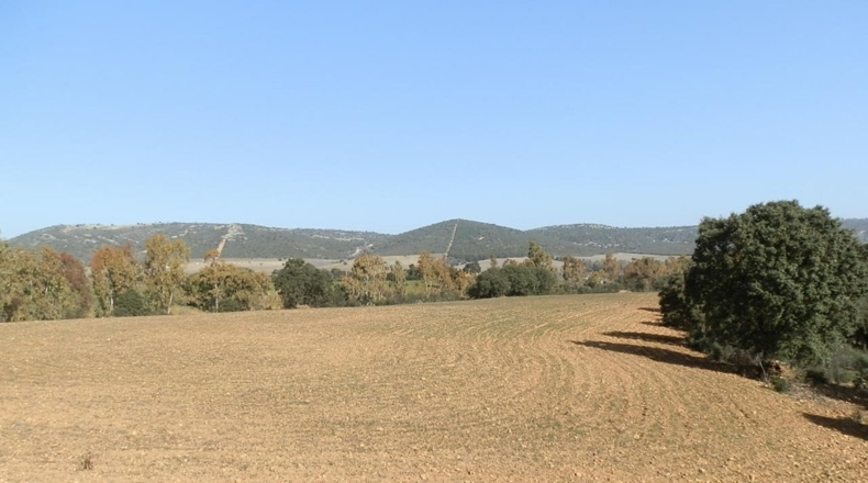 Ciudad Real - Luciana - 5250000m2