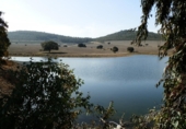Finca rústica en venta en la luciana, Luciana, ref: TR29477 foto