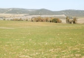 Finca rústica en venta en la luciana, Luciana, ref: TR29477 foto