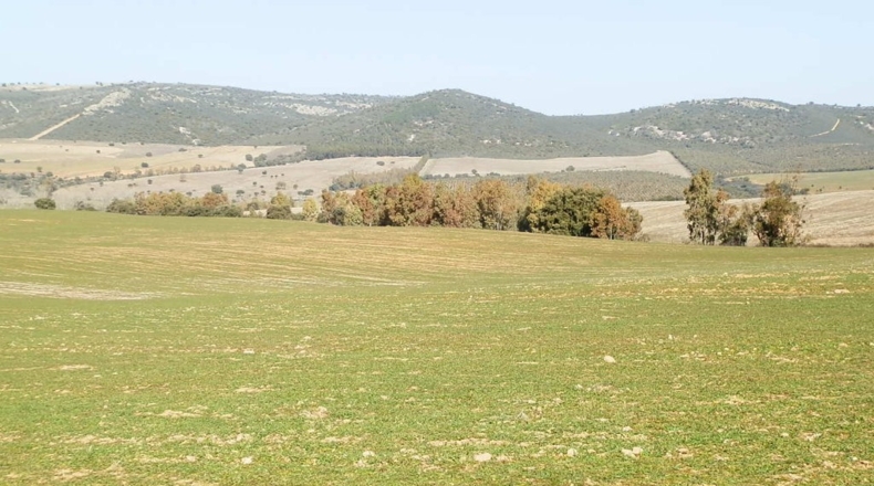 Ciudad Real - Luciana - 5250000m2