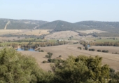 Finca rústica en venta en la luciana, Luciana, ref: TR29477 foto