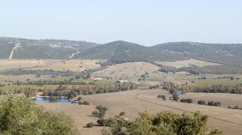 Ciudad Real - Luciana - 5250000m2