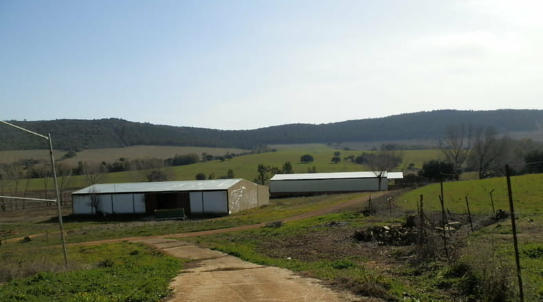 Ciudad Real - Luciana - 5250000m2