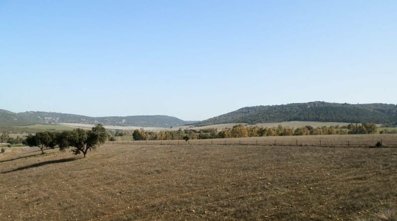 Ciudad Real - Luciana - 5250000m2