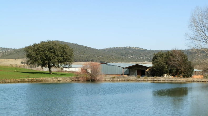 Ciudad Real - Luciana - 5250000m2