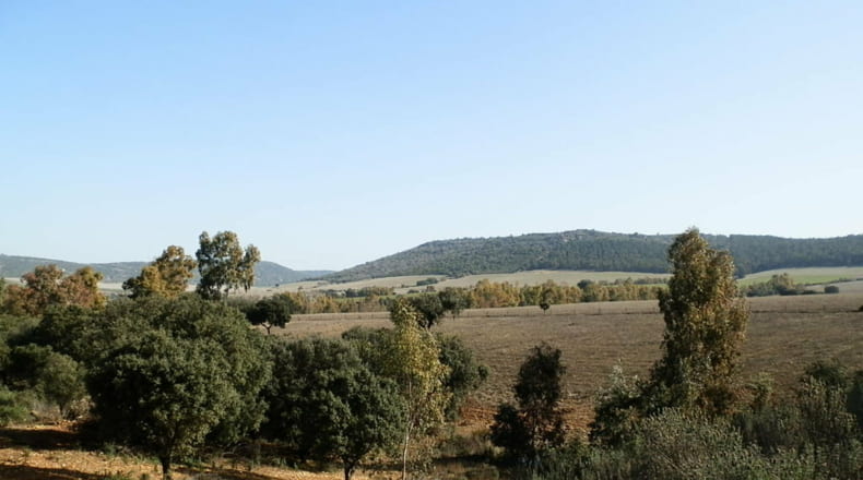 Ciudad Real - Luciana - 5250000m2