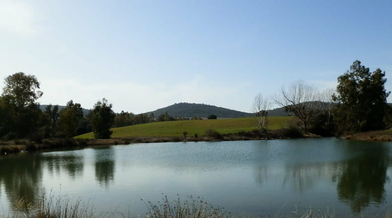 Ciudad Real - Luciana - 5250000m2