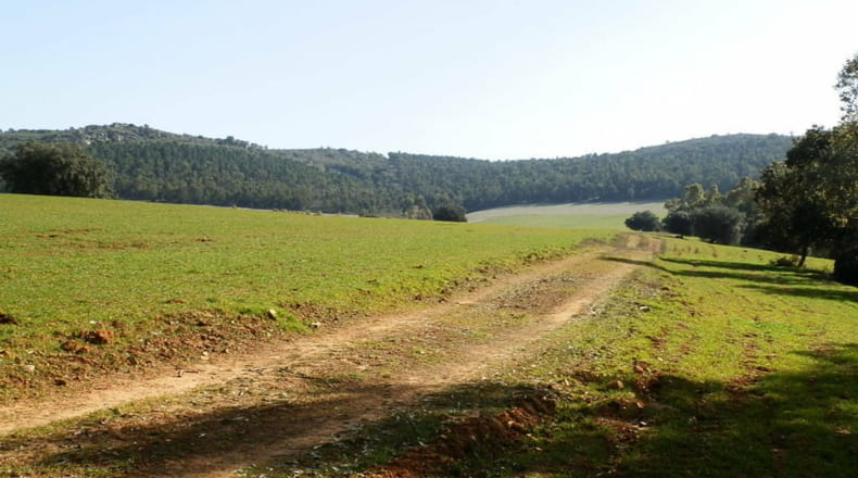 Ciudad Real - Luciana - 5250000m2