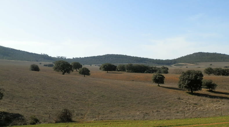 Ciudad Real - Luciana - 5250000m2