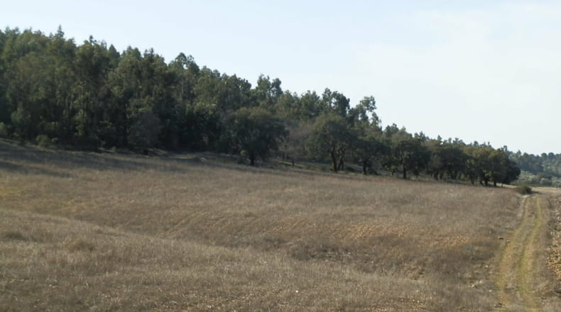 Ciudad Real - Luciana - 5250000m2