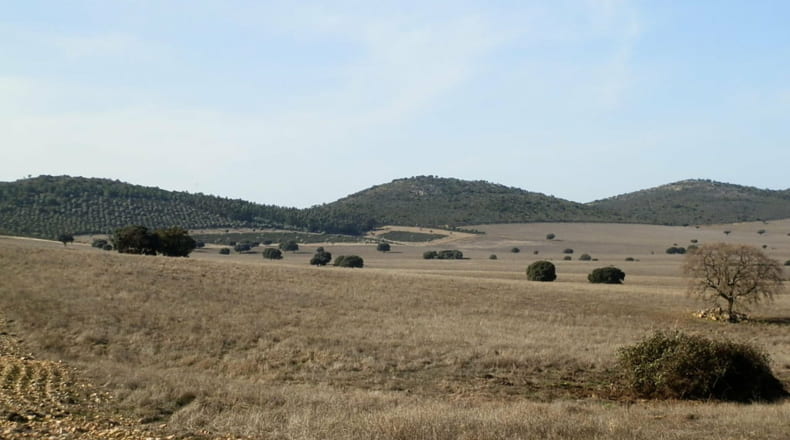 Ciudad Real - Luciana - 5250000m2