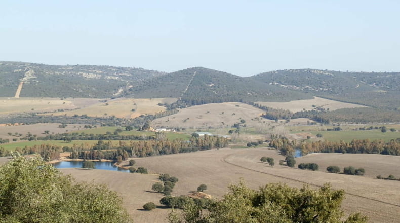 Ciudad Real - Luciana - 5250000m2
