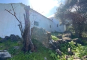 Rural estate for sale on Ruta II Dolmen Cima, Montecorto, ref: TR31222 photo