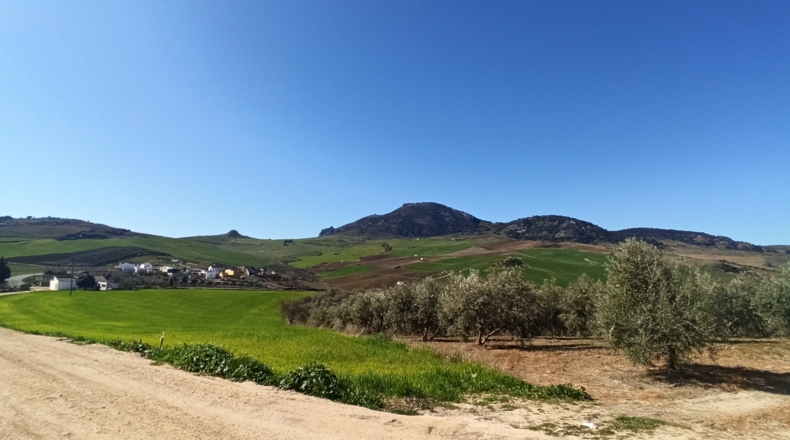 Málaga - Montecorto - 35000m2